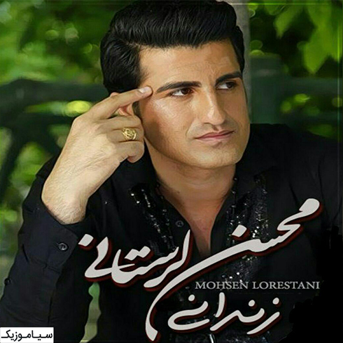 محسن لرستانی - زندانی